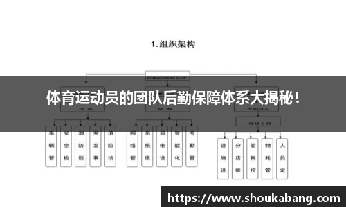 体育运动员的团队后勤保障体系大揭秘！